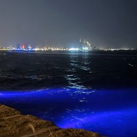 ابو رشيد🤍. (@abwrshyd83091) Twitter profile photo