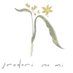 アクセサリーと植物のお店/イロドリの実 (@irodorino_mi) Twitter profile photo アクセサリーと植物のお店/イロドリの実 (@irodorino_mi) Twitter profile photo