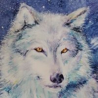 たつき🐺wolf photograph (@ttk_wolf) 's Twitter Profile