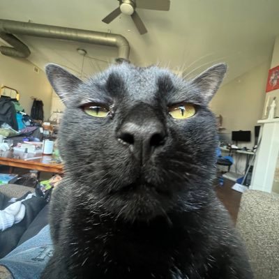 necrophilicum's profile picture. hi I’m melanie!