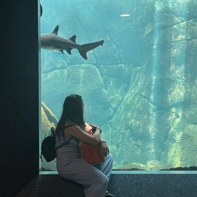 kingtoadette's profile picture. 🪁