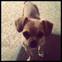 Hannah Johnson - @BethLaJ - Twitter