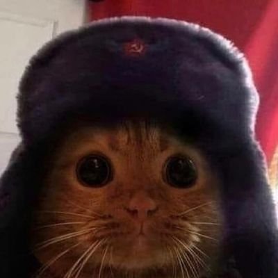 nosekefik's profile picture.