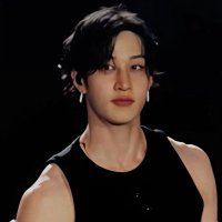 bang chan and changbin's husband (@bbbbbbbbbb3334) 's Twitter Profile