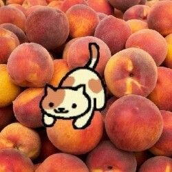 st4xxie's profile picture. 