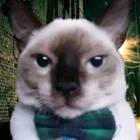 Jueves (@drjueves) 's Twitter Profile