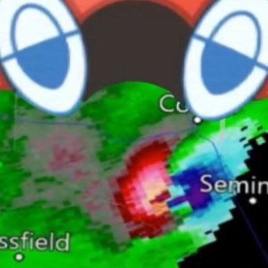 RotomBurgers⛈️⛈️⛈️🙀 Profile