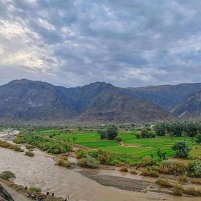 yyss641179's profile picture. 