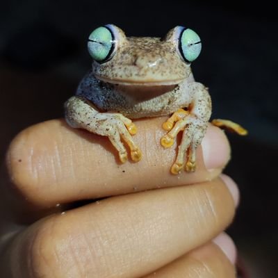 analaranita4's profile picture. SHE