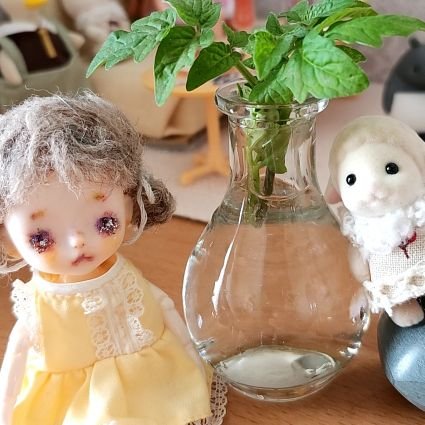 ココナラで、オラクルカードリーディング🔮&お悩み相談しています(固定ポスト)。1980年早生まれ、東京下町住み。シルバニア、お散歩ちゃん、ドール、推し活(STPR、すとぷりのなーくん、アンプのけちゃくん)、ハシビロコウ、喫茶店、クラゲ、絵本、朗読、関西弁すき✨元保育士。転職して介護施設へ。