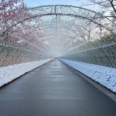 JtsiXfQcGtl81ZF's profile picture. 