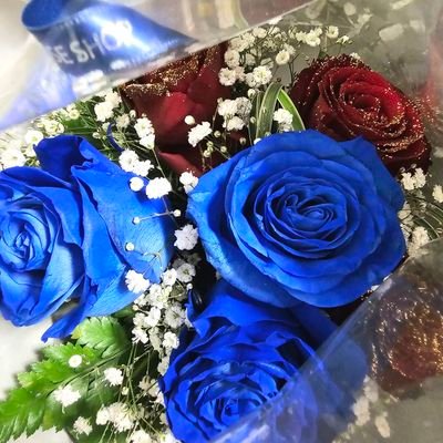 劇団四季をこよなく愛し 全国各地へ観劇に参ります✈️🚅 　🌹劇団四季と洋輔さん✨♡笠松哲朗さん♡岡本瑞恵さん♡飯田洋輔さん♡萩原隆匡さん♡北村優さん♡大鹿礼生さん