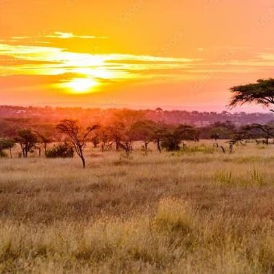 lexke_'s profile picture. Spiritual Awakening