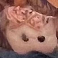 はる🎶 (@rh__8877) 's Twitter Profile