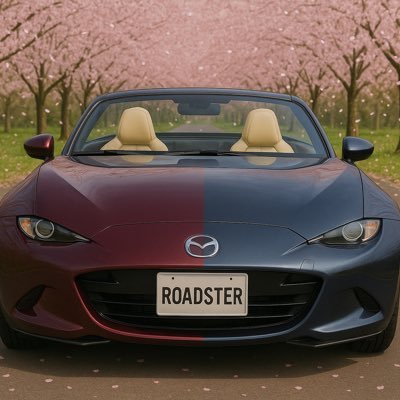 🚘2018.4.29〜volkswagen thebeetle design/🚘2021.5.17〜MINI CROSSOVER F60/🚘2024.4.6〜MAZDA ROADSTAR RF AT/🚘2025.4.26〜MAZDA ROADSTAR RF MT 35周年記念車