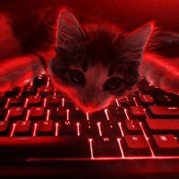 CNT biteki (@bitekivlr) 's Twitter Profile