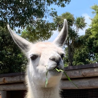 もじゃおさんのプロフィール画像