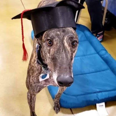 Wolfpuppy1413's profile picture. 