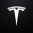 Tesla meme coin avatar