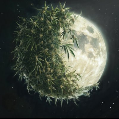 ChrisE27_'s profile picture. 