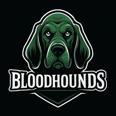 centralbloodh's profile picture. Webfacção desativada no momento ♥