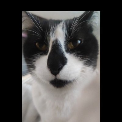 elisofi's profile picture. DE PROFESION ASISTENTE SOCIAL, PATRIOTA Y AMANTE DE MI PAIS