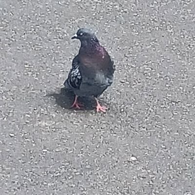 k5551057951's profile picture. 