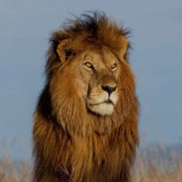 Eric Williams (@eeelproductions) 's Twitter Profile
