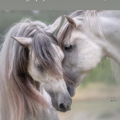 yumico_wwish's profile picture. エチケット&コミュニケーションアドバイザー 人と社会がより良く繋がる活動をサポート 💫日本の心を大切に！日本はこのままじゃいけない👊🏻保護犬🐶猫🐈‍⬛引退馬🐴の未来を応援するため投資にも取り組りんでます📈 💫乗馬が好き 欧介🐈‍⬛ （2022.02.20🌈）と先代みーこ🐈（07.27🌈）