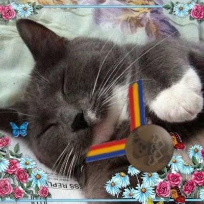 OTRB 08-29-2013 AngelSmokey8 #AngelGang; I don't let that stop me from meeting new pals! Proud member of #TheAviators
