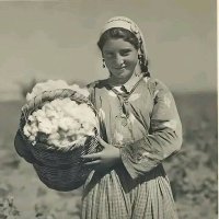 صفيه الغامدي (@safiaalgh) Twitter profile photo