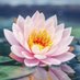 News Updates (@fowzia_kha39767) Twitter profile photo News Updates (@fowzia_kha39767) Twitter profile photo