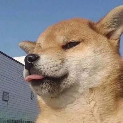 nervous256's profile picture. 