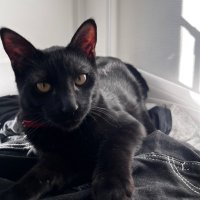 🧑🏻🦯 (@lemekpasdrole) 's Twitter Profile