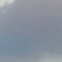 硝 (@hio0346) 's Twitter Profile