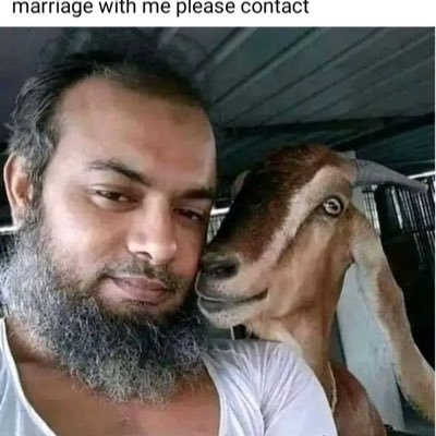 bigbadwolf172's profile picture. Actually indigneous to the land.