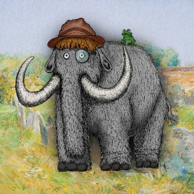 Barxanio's profile picture. Crypto, sport, gaming.. In that order!