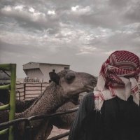 هَــدَّاج. (@hadaj_2) 's Twitter Profile