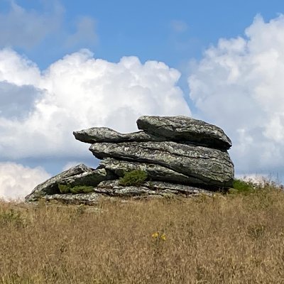 vladelmanzano's profile picture. Aspiring Scalper of the Future(s), Adept of the Order of Flow, Market Structure Strategist. In my previous life, I lived as a Specialist of Taxare