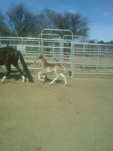 nanmade1's profile picture. Seasoned Entertainment Executive, Entrepreneur and major risk taker