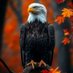 Ezekiel Zabaletta (@ezekielzab46961) Twitter profile photo Ezekiel Zabaletta (@ezekielzab46961) Twitter profile photo
