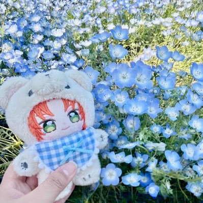 kuma23kiti's profile picture. どうも✋クマきちです(成人済み) モモとレオ推し、 ジャンル雑多垢 無言フォロー失礼します。 リツイート多め WB垢(@suo0401 )