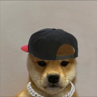 Tri (@retripotri) 's Twitter Profile