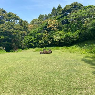 tmw15006's profile picture. 