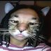 Gona (@gona_onchain) Twitter profile photo Gona (@gona_onchain) Twitter profile photo