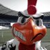 Galo Véi (@galoveiamansado) Twitter profile photo Galo Véi (@galoveiamansado) Twitter profile photo