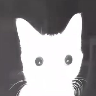 Miaowu2333333's profile picture. 👾👾👾