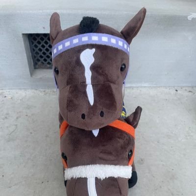 1234sakayamada's profile picture. ニーボクからウマキんグに変わったナーツさん、イルマさんのおかげですっかり競馬にハマってしまった者です。予想は兄の厳選した馬のみで年間回収率100%越えを目標に頑張ります。