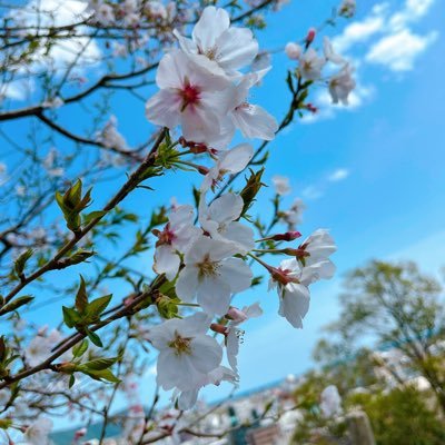 2025.05.04〜取引垢作りました!宜しくお願いします(*´꒳`*)成人済み25↑。地方在住なので郵送(窓口発送)になります。最推し▶︎降谷(安室/バーボン),警察学校組,ベルモット,ピンガなど好きです🫶友人分で風見(or沖矢),高明(or大和)を求める場合もあります。