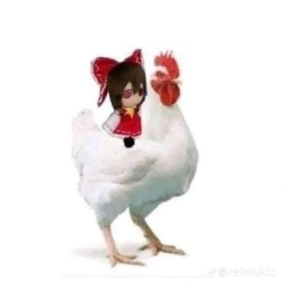 mafcuhh's profile picture. hey

go follow @mafzii_ , as that is my new main acc
won't respond to msgs or notifs on this account , to contact me. interact with the NEW account.